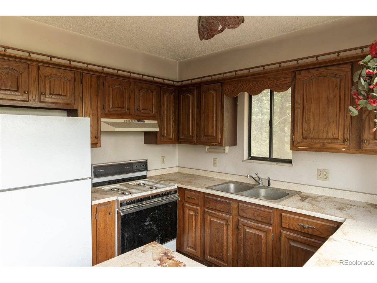 2644 Pathfinder, Florissant, CO 80816