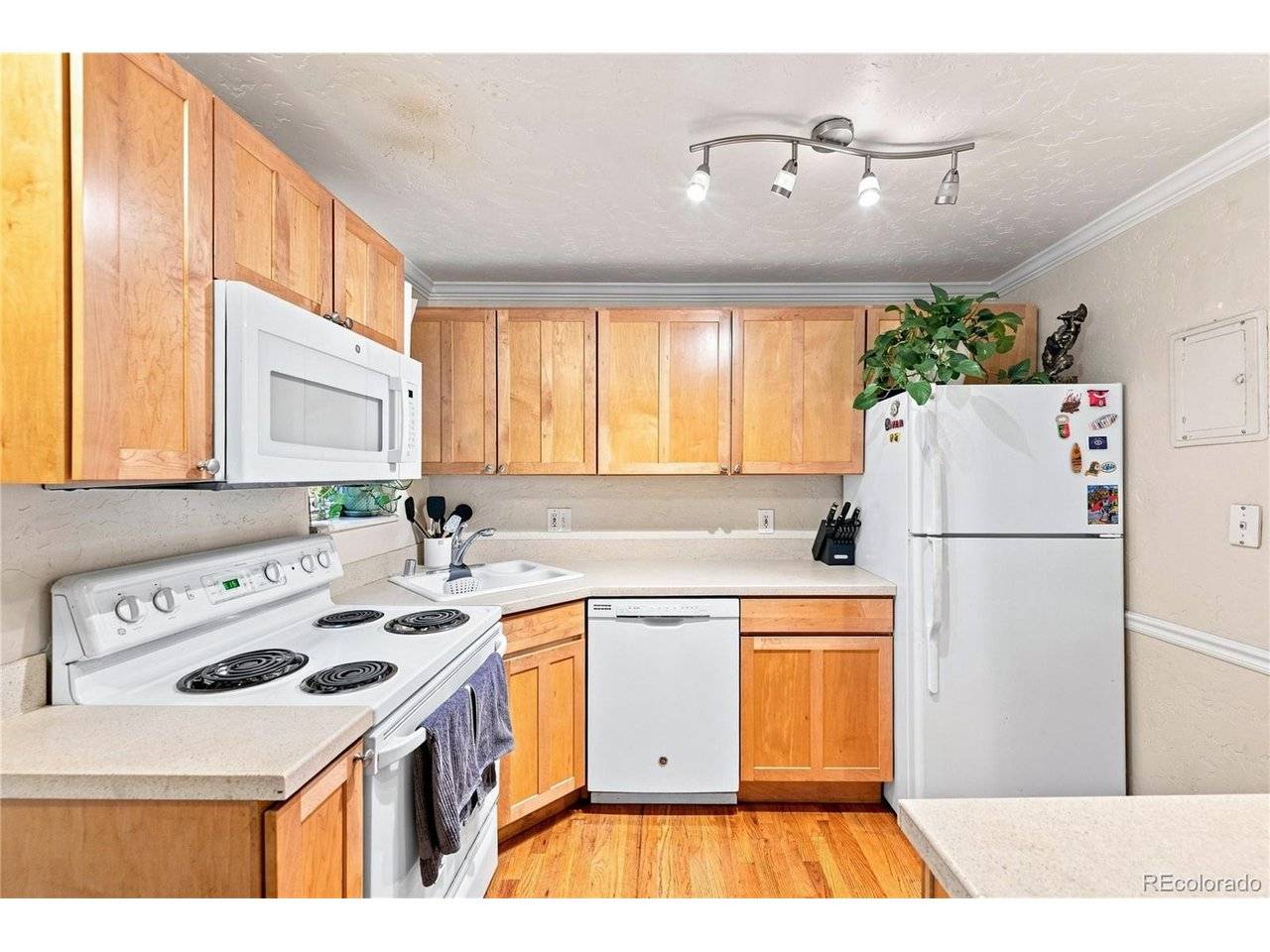 1243 Vine #3, Denver, CO 80206