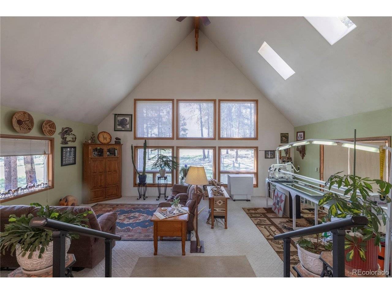 187 Arrowrock, Florissant, CO 80816