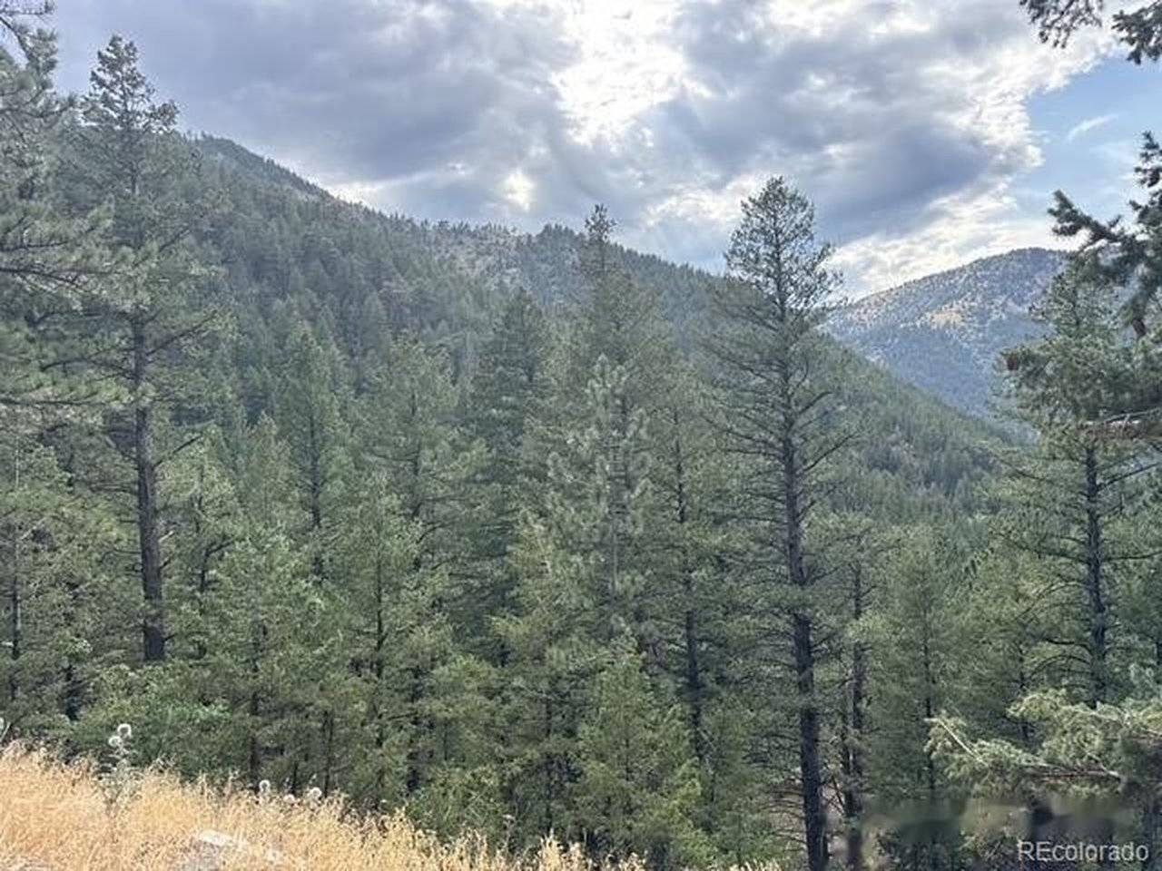 397 Glendale Gulch, Jamestown, CO 80455
