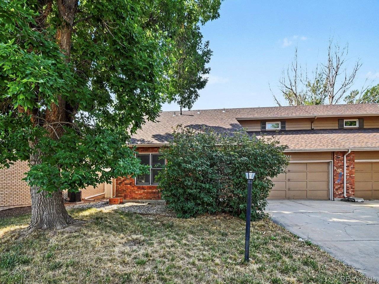 928 Torrey Pine, Loveland, CO 80538