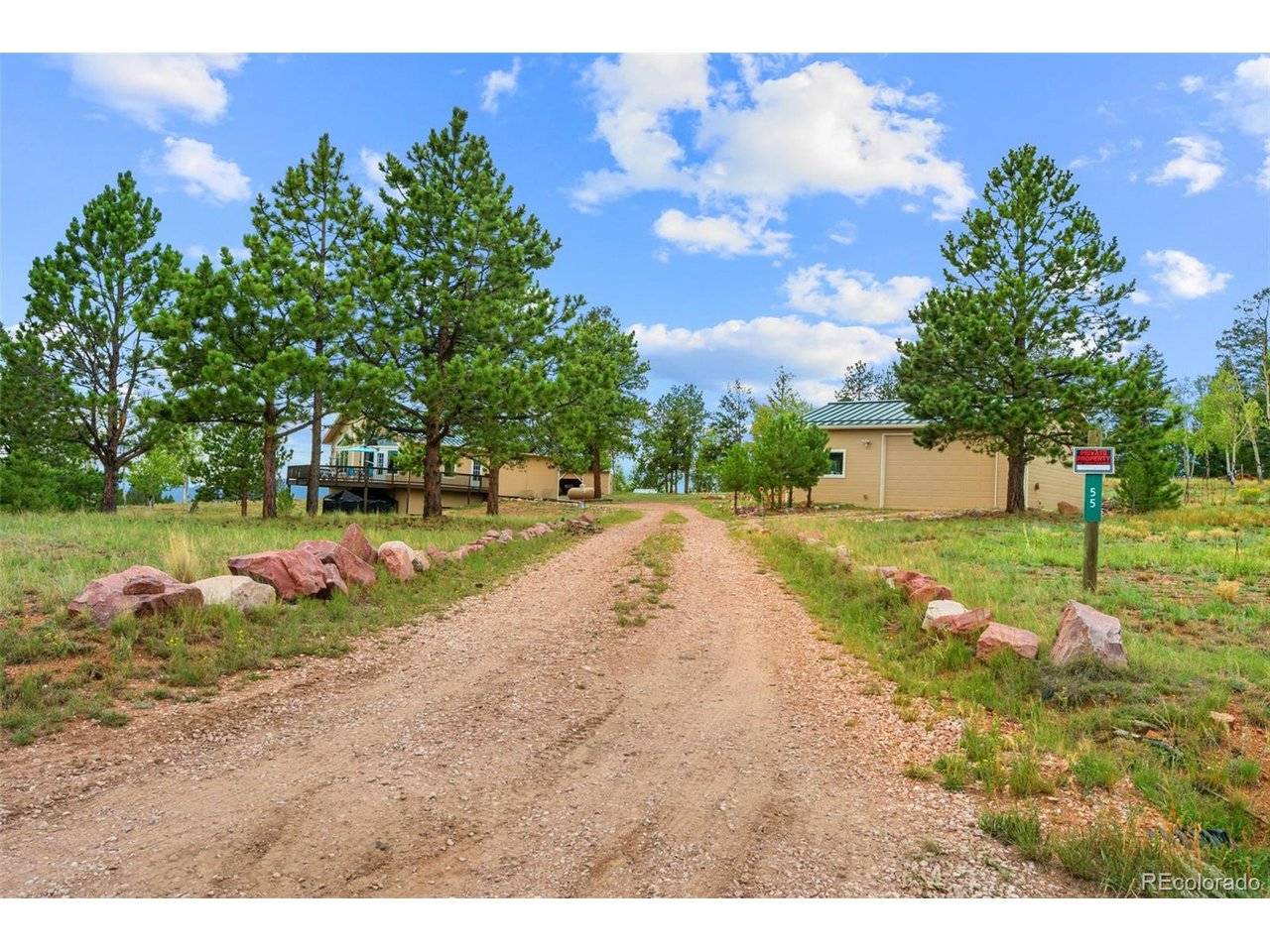 55 Crystal Peak, Lake George, CO 80827