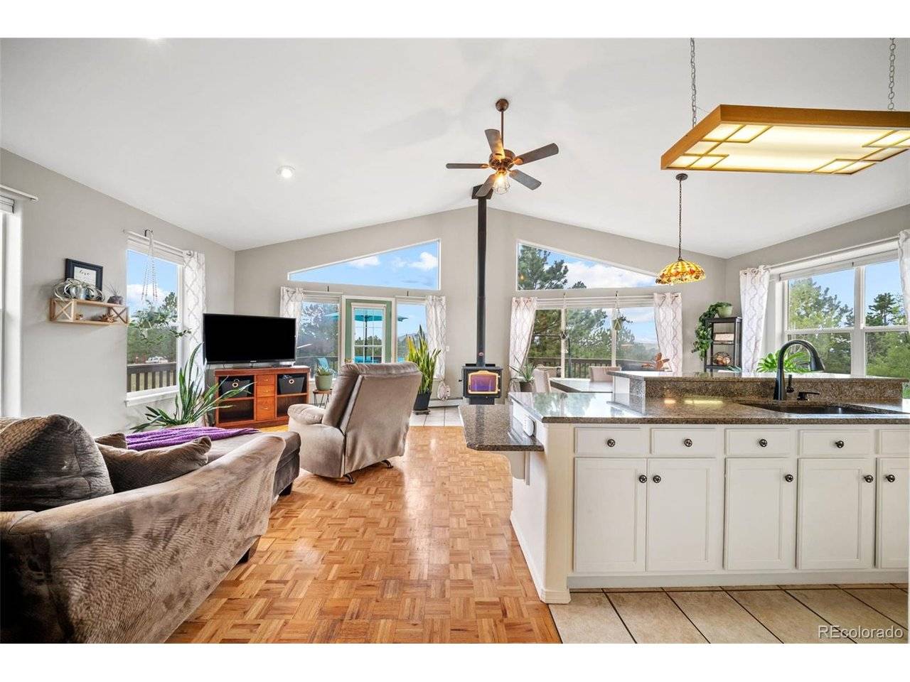 55 Crystal Peak, Lake George, CO 80827