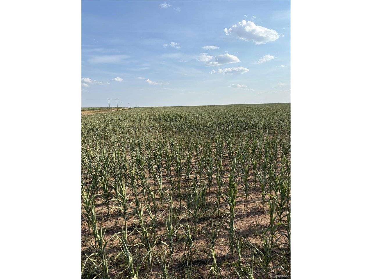 NE4 27 10s 45w, Bethune, CO 80807