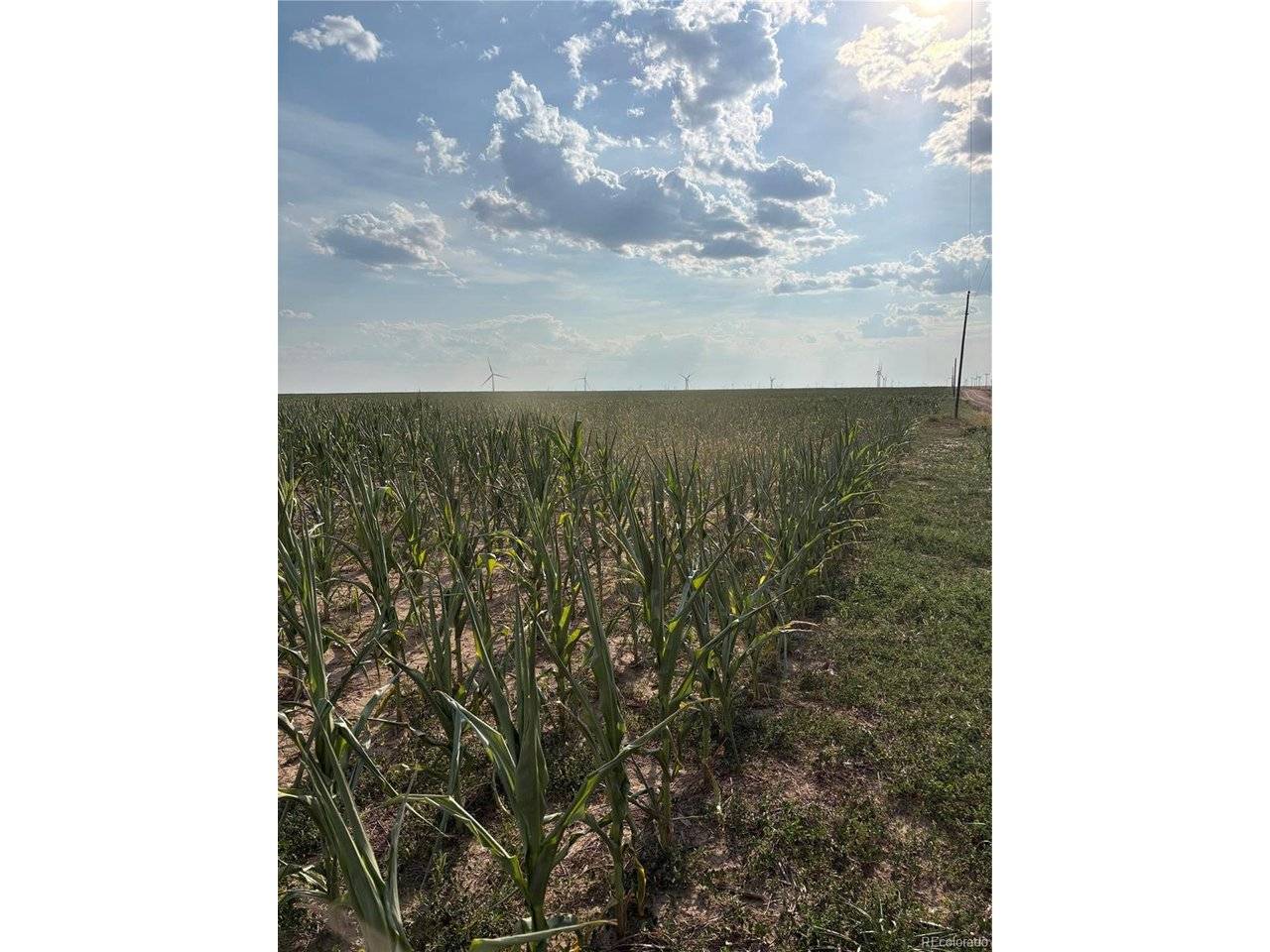NE4 27 10s 45w, Bethune, CO 80807
