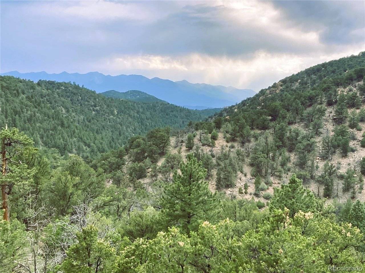 1209 Coyote, Cotopaxi, CO 81223