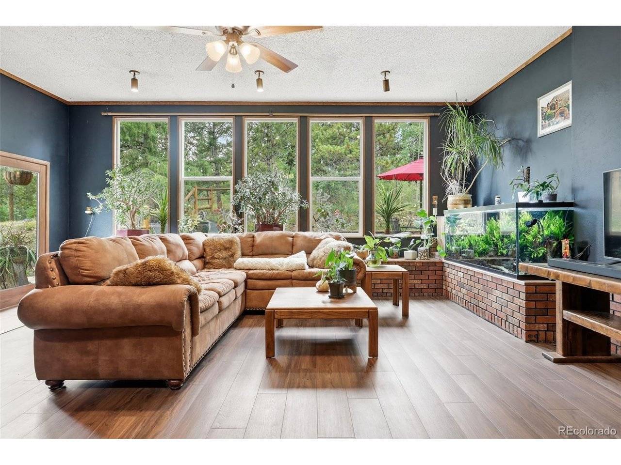 19133 Silver Ranch, Conifer, CO 80433
