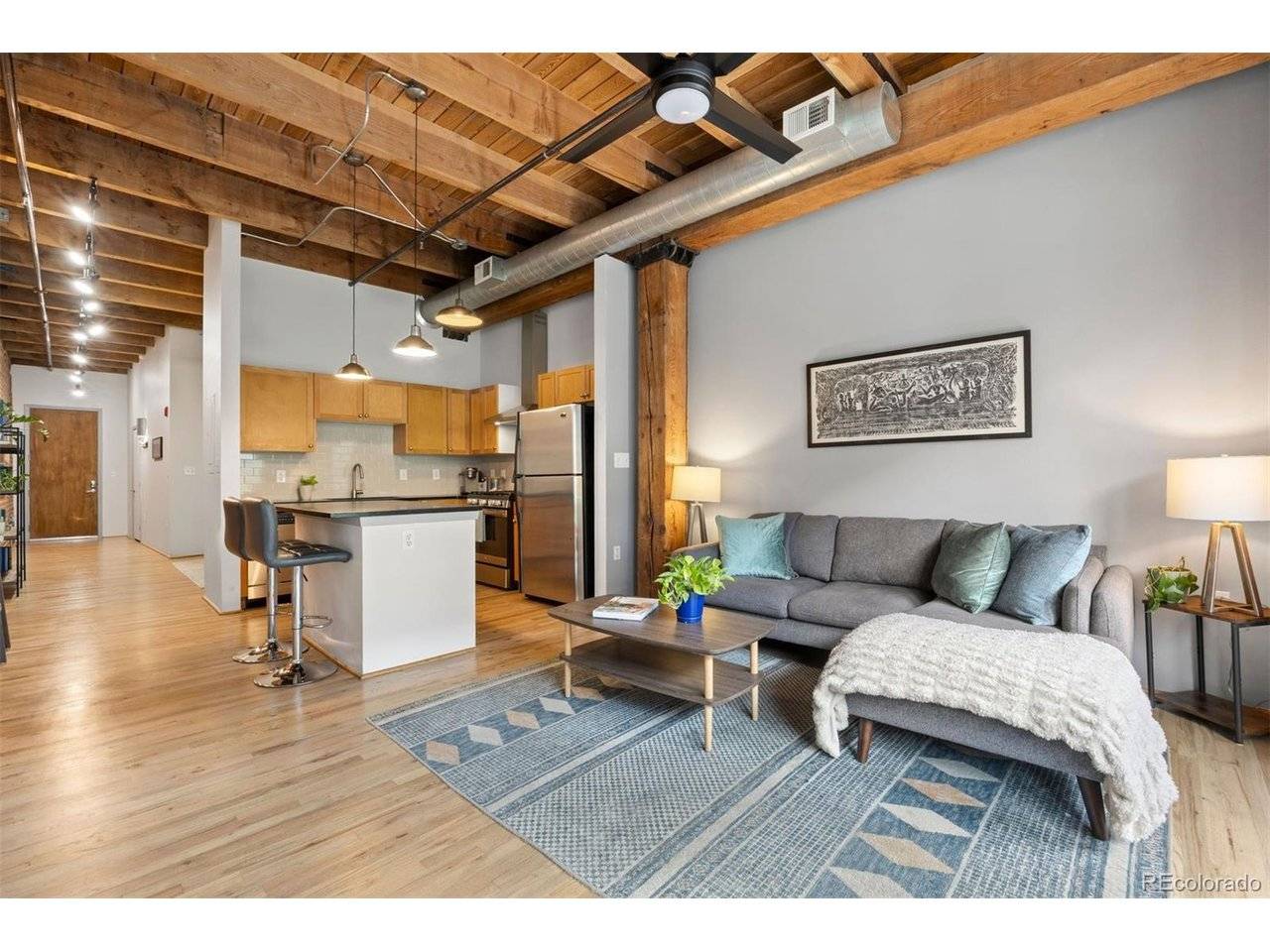 2960 Inca #219, Denver, CO 80202
