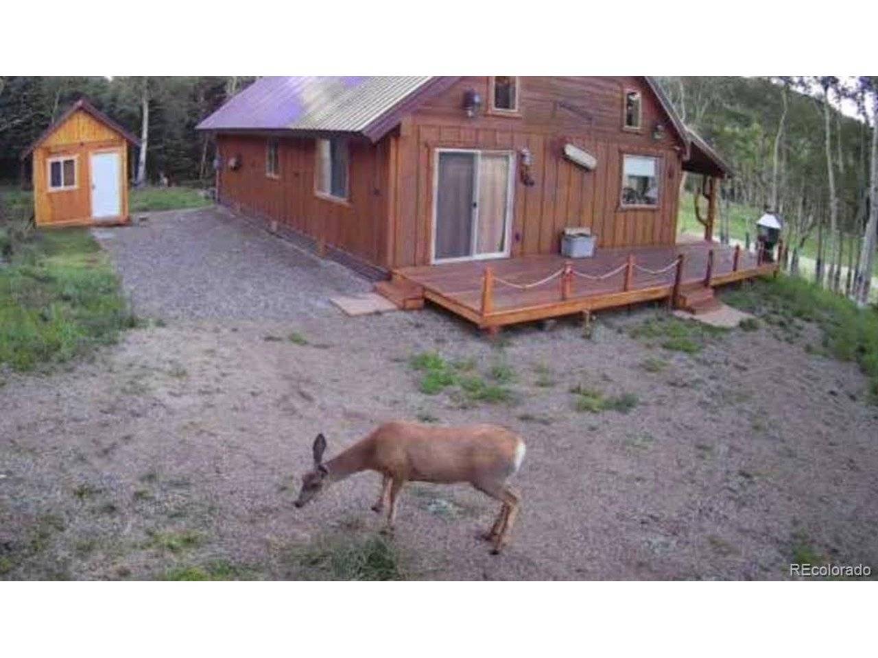 2876 Fery, Fort Garland, CO 81133