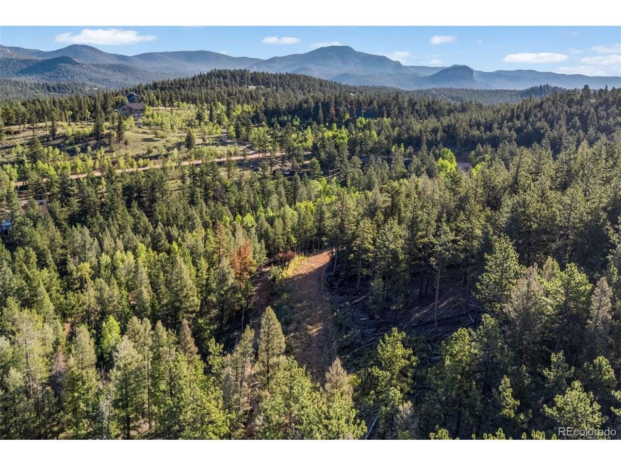 157 Saddle Horn, Bailey, CO 80421