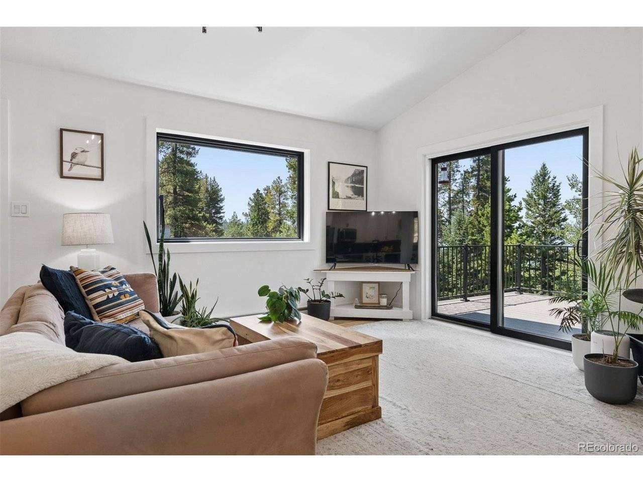 11102 Conifer Mountain, Conifer, CO 80433