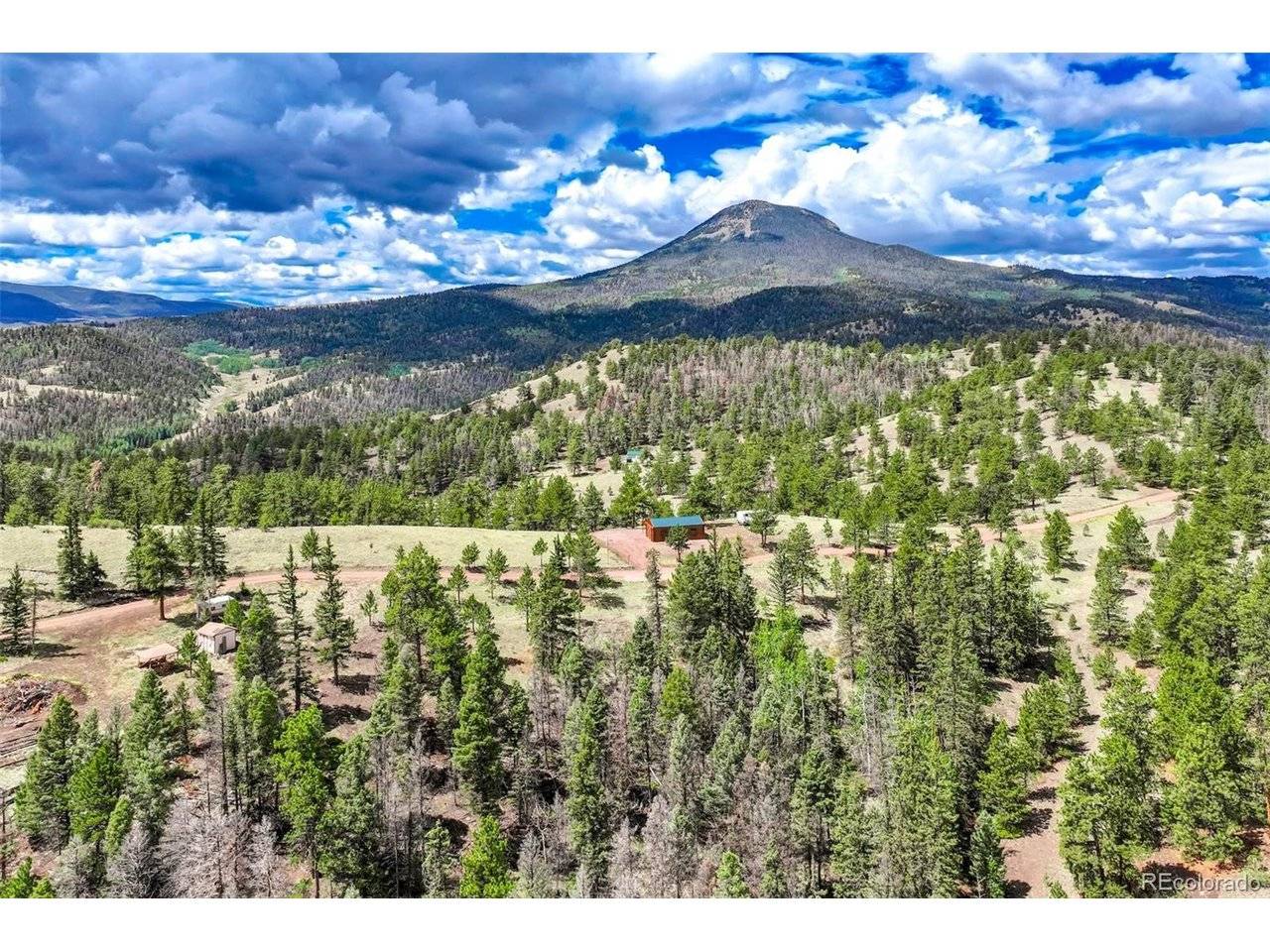 75 Deer Run, Guffey, CO 80820