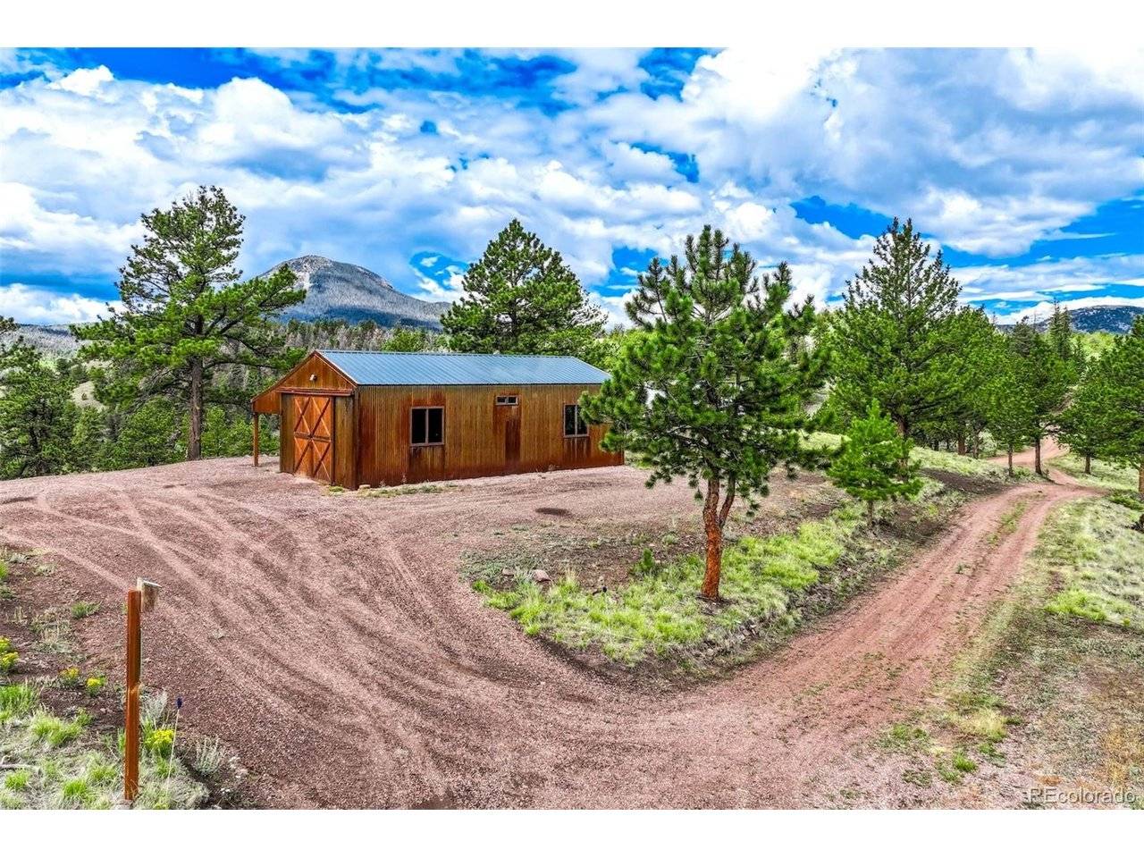 75 Deer Run, Guffey, CO 80820