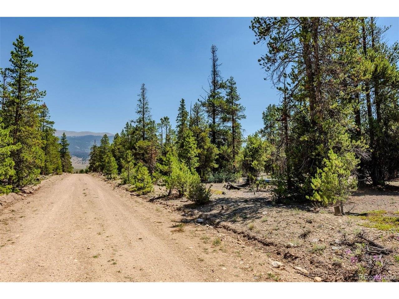 124 Fir, Twin Lakes, CO 81251