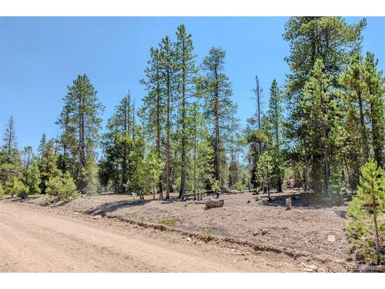 124 Fir, Twin Lakes, CO 81251
