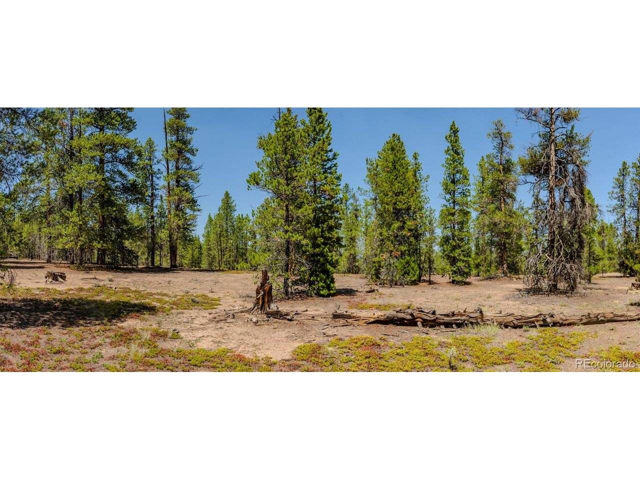 124 Fir, Twin Lakes, CO 81251
