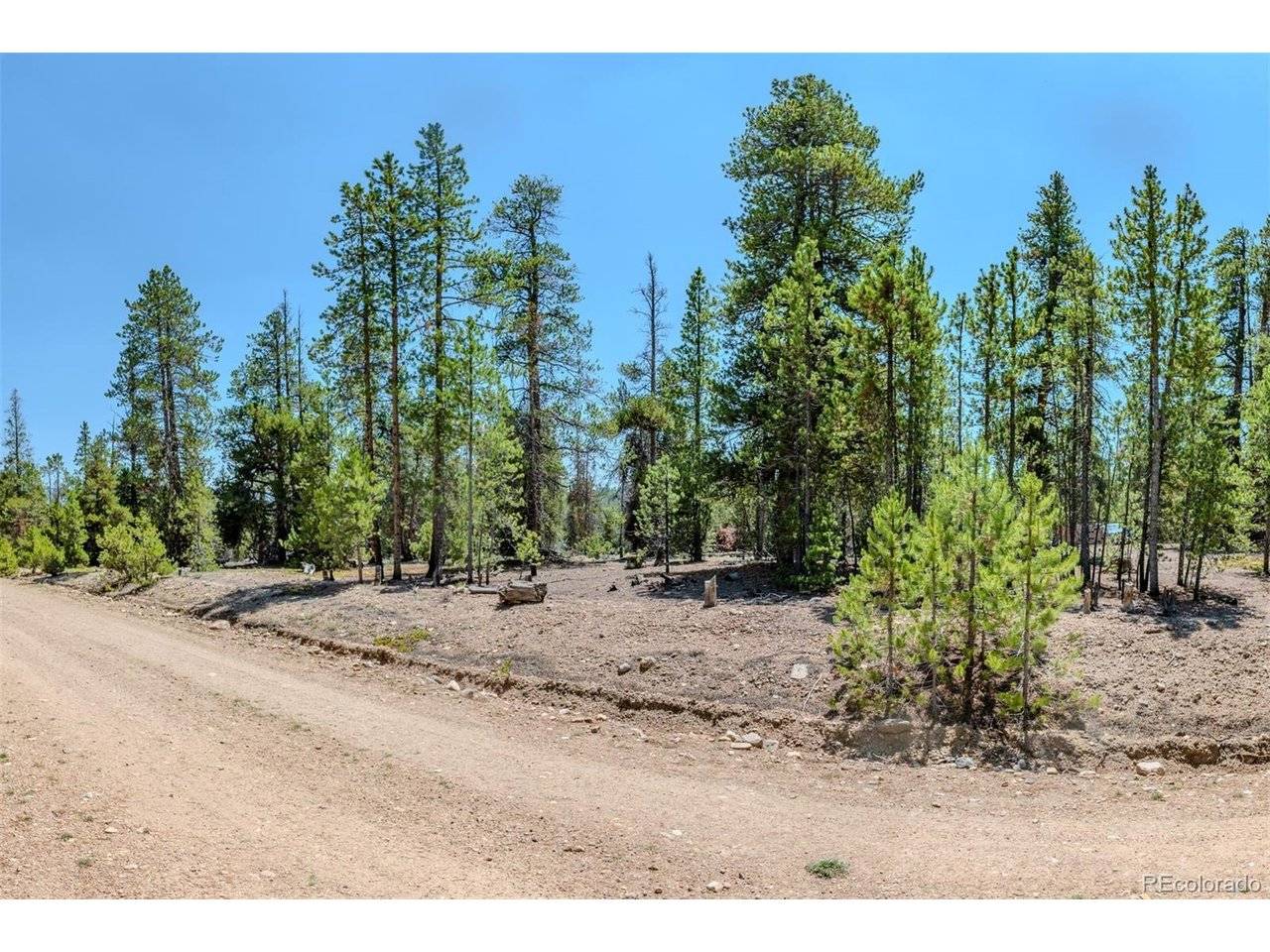 124 Fir, Twin Lakes, CO 81251
