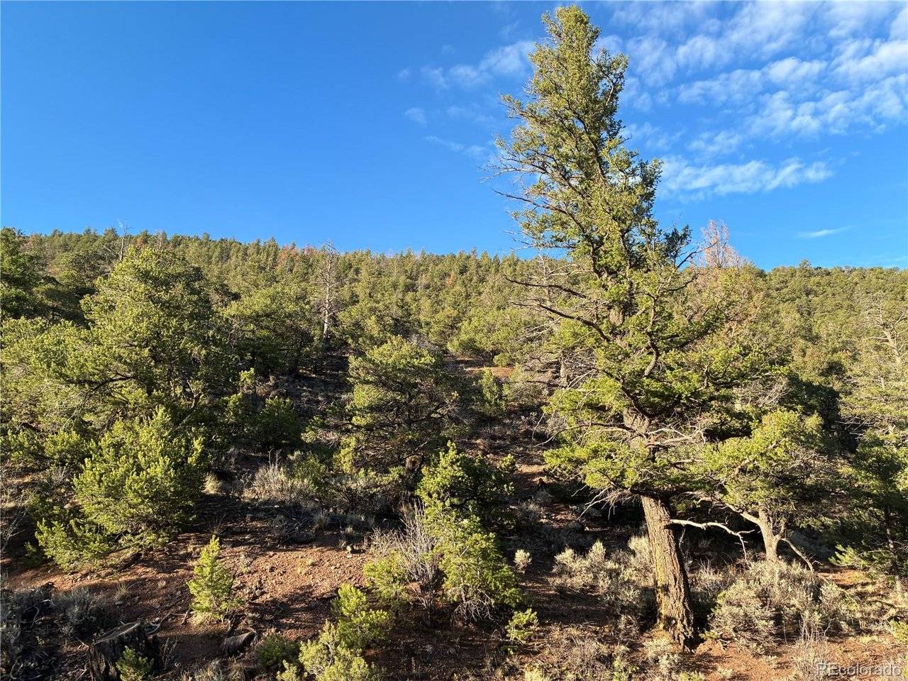8 Adelaide, San Luis, CO 81152