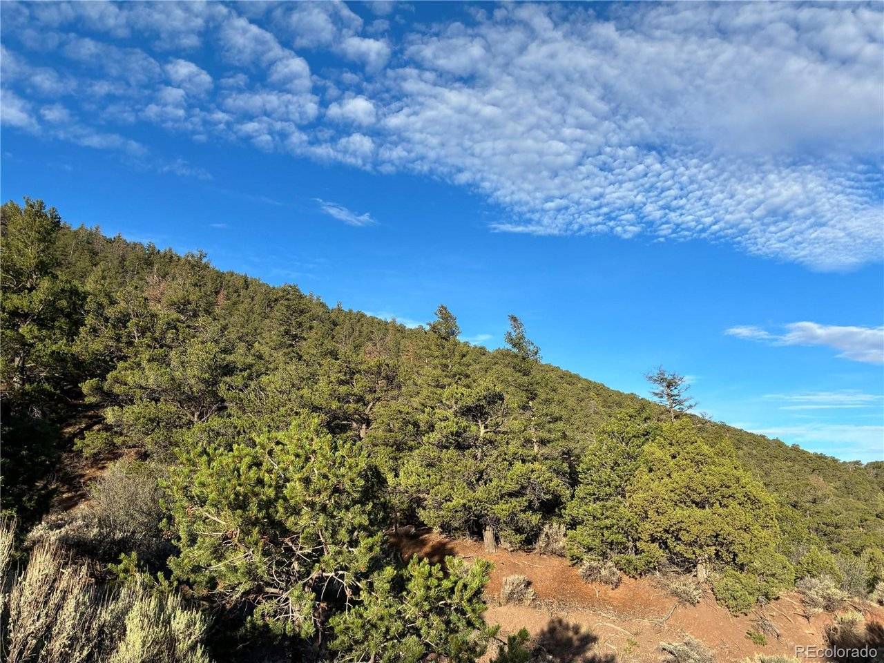 8 Adelaide, San Luis, CO 81152