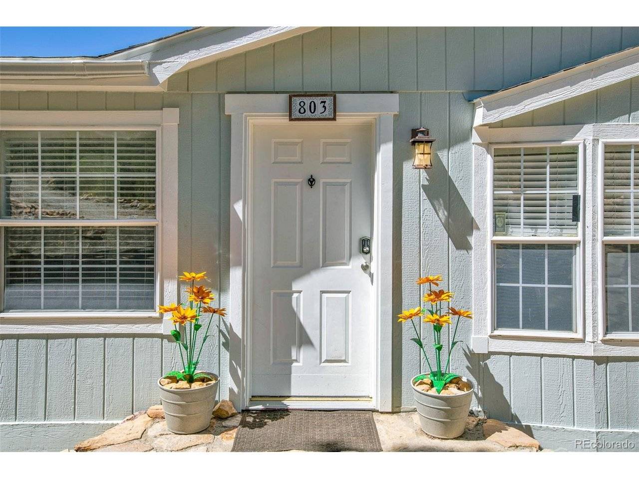 803 Bonell, Fairplay, CO 80440