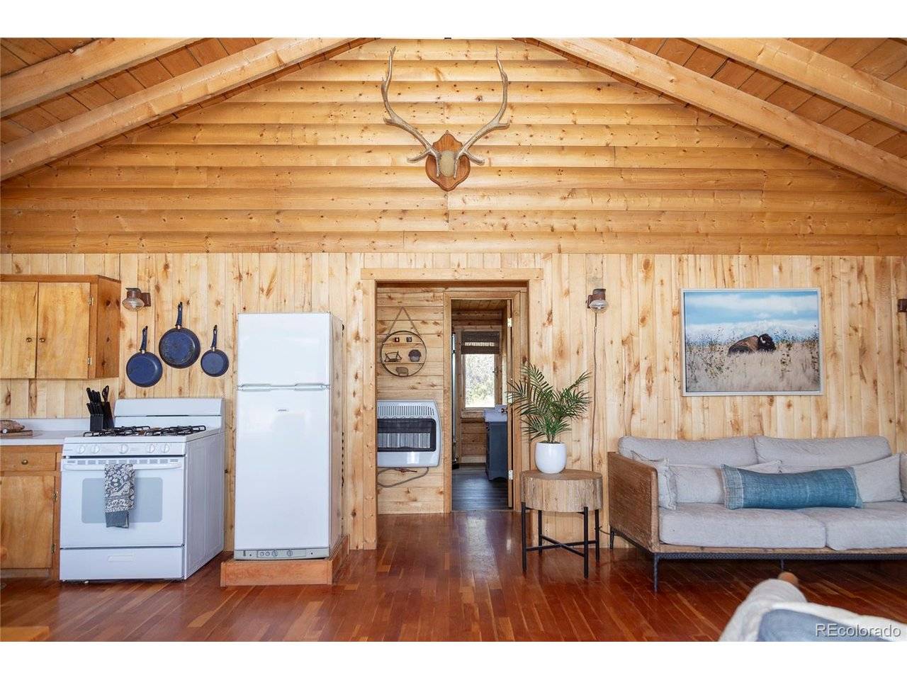 1001 CR 17 Cebolla Cabin, Lake City, CO 81235