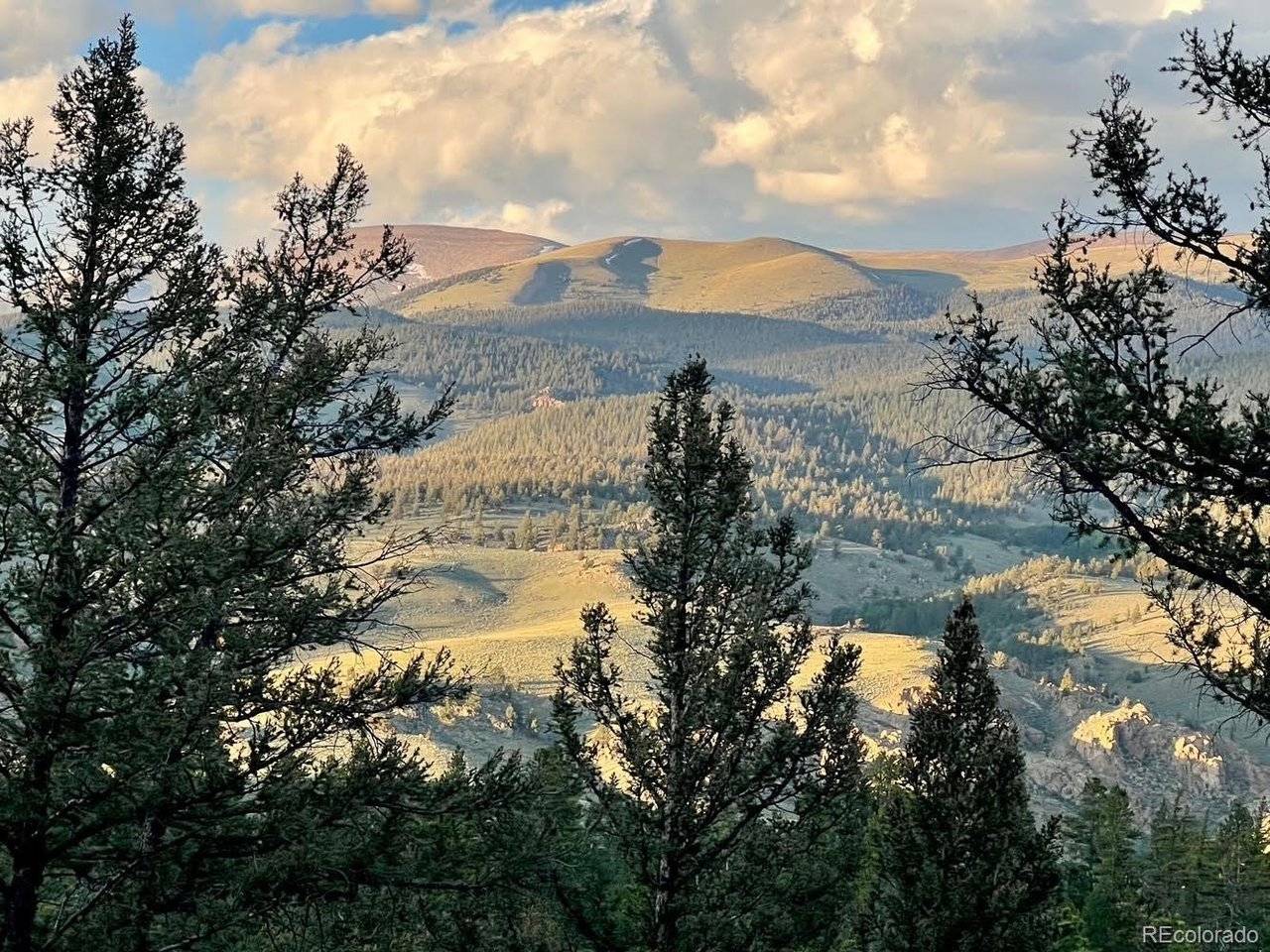 640 Edward E Hill, Twin Lakes, CO 81251