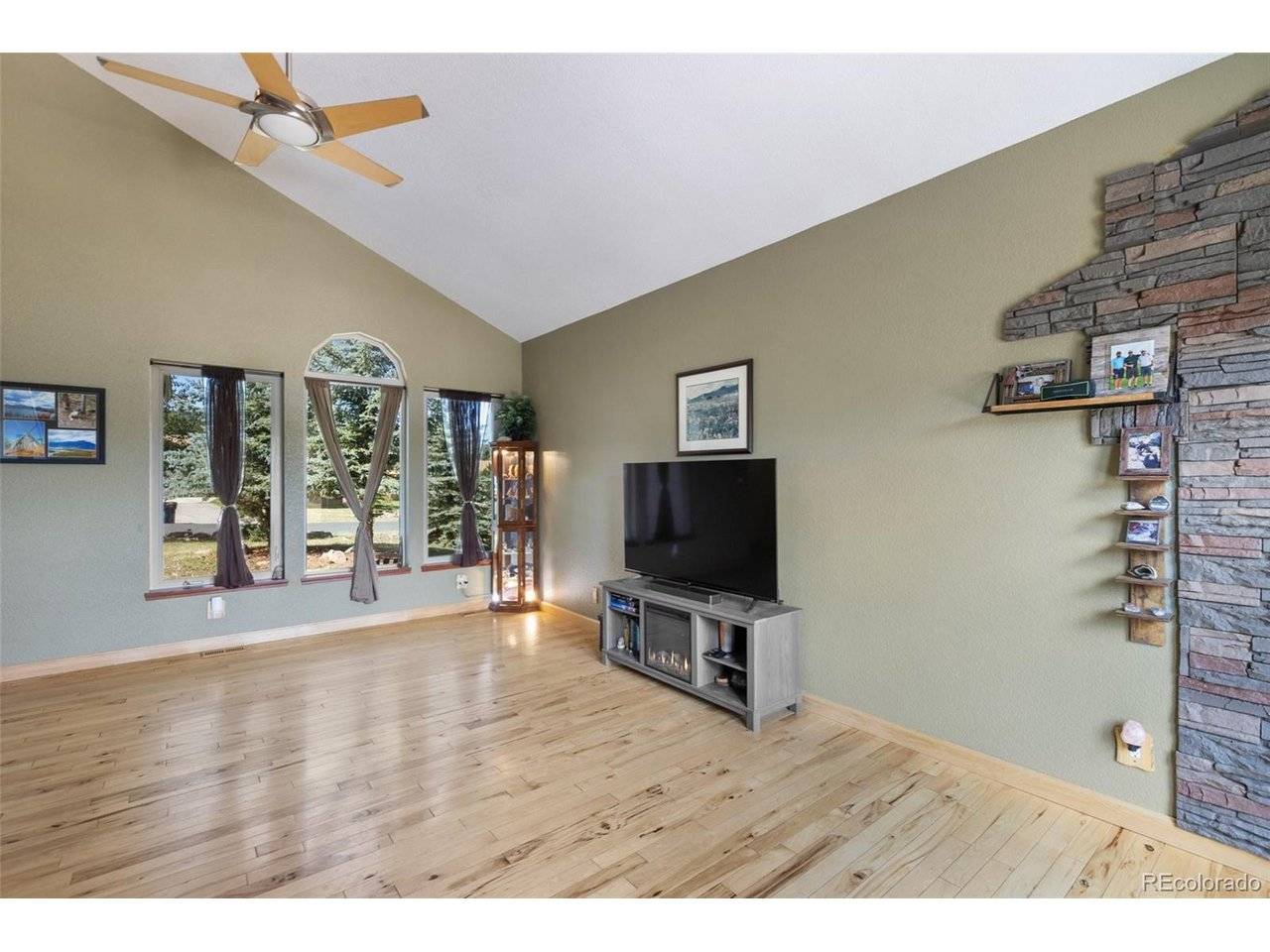 290 Taopi, Woodland Park, CO 80863