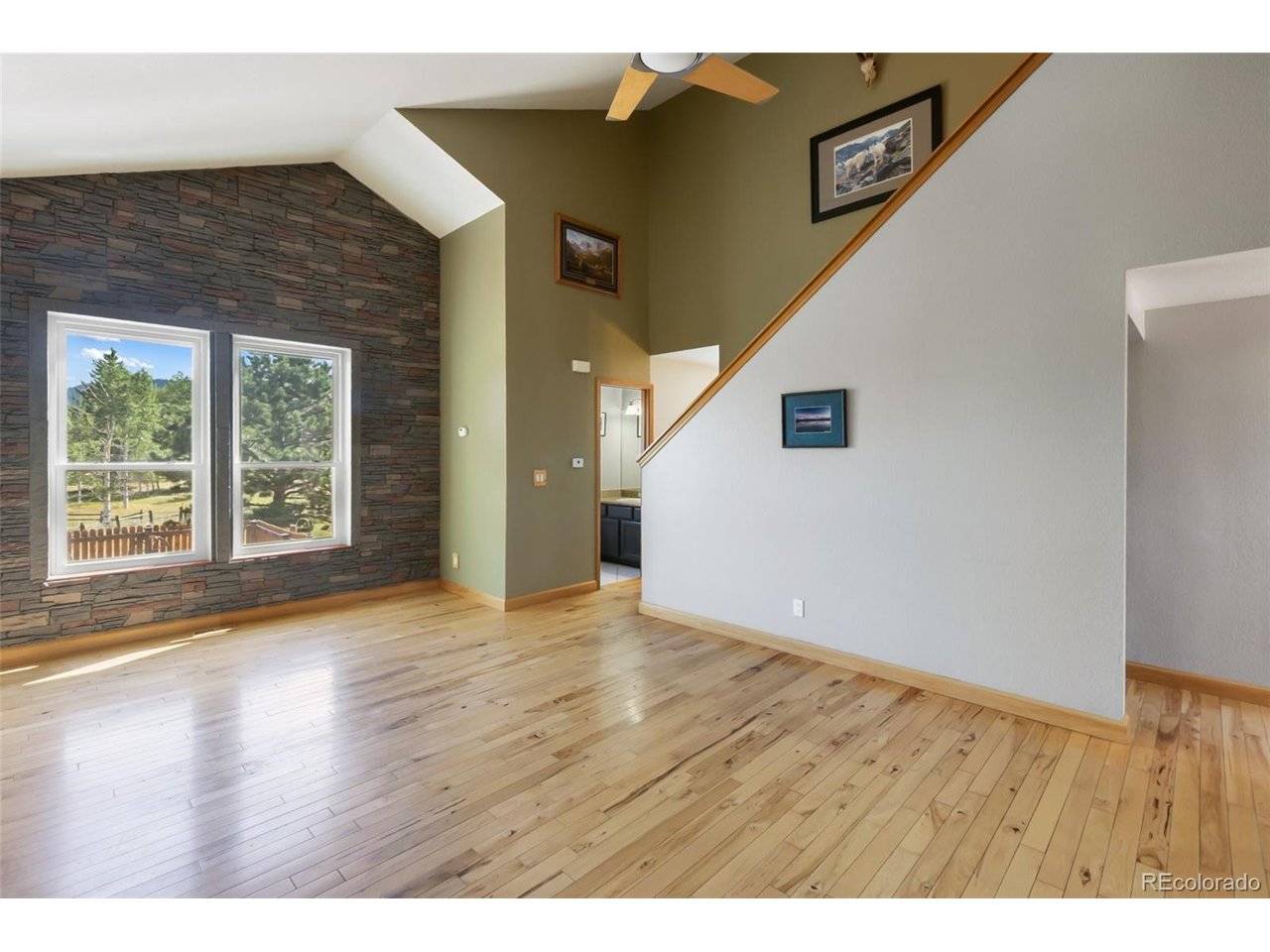 290 Taopi, Woodland Park, CO 80863