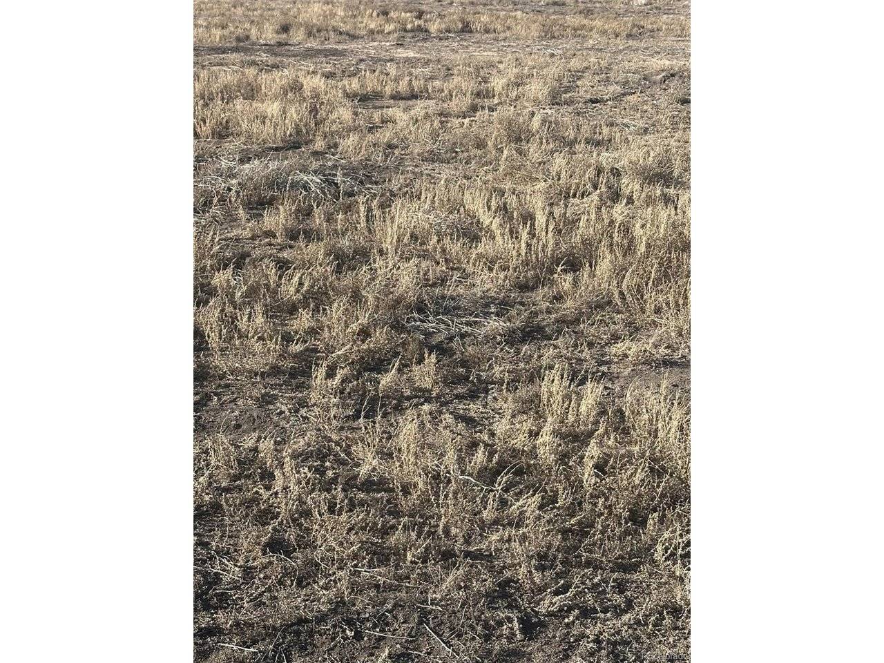 7 San Luis Valley Ranches, Blanca, CO 81123