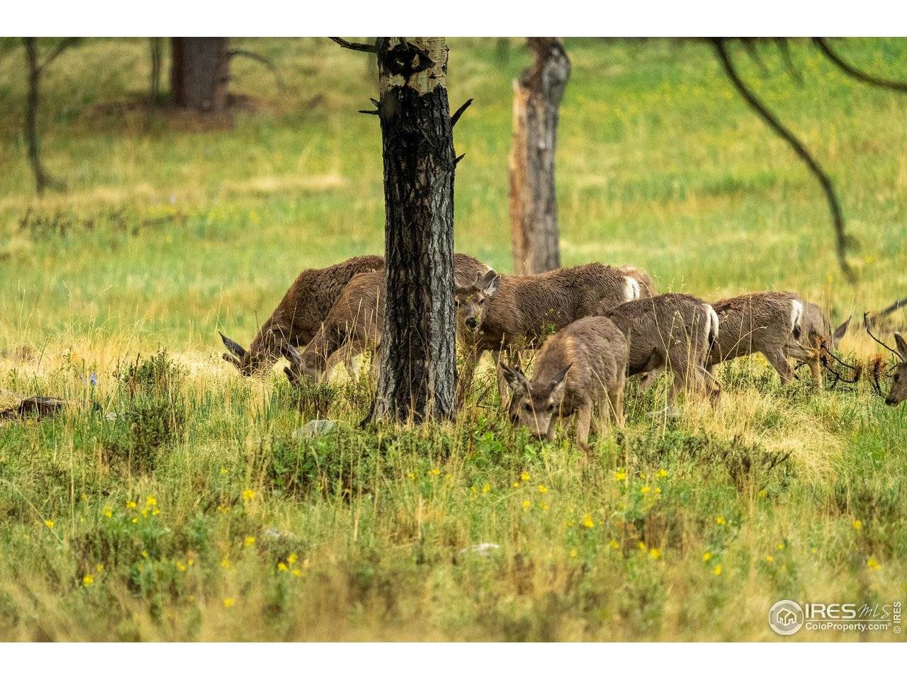 3500 County Road 12, Jansen, CO 81082