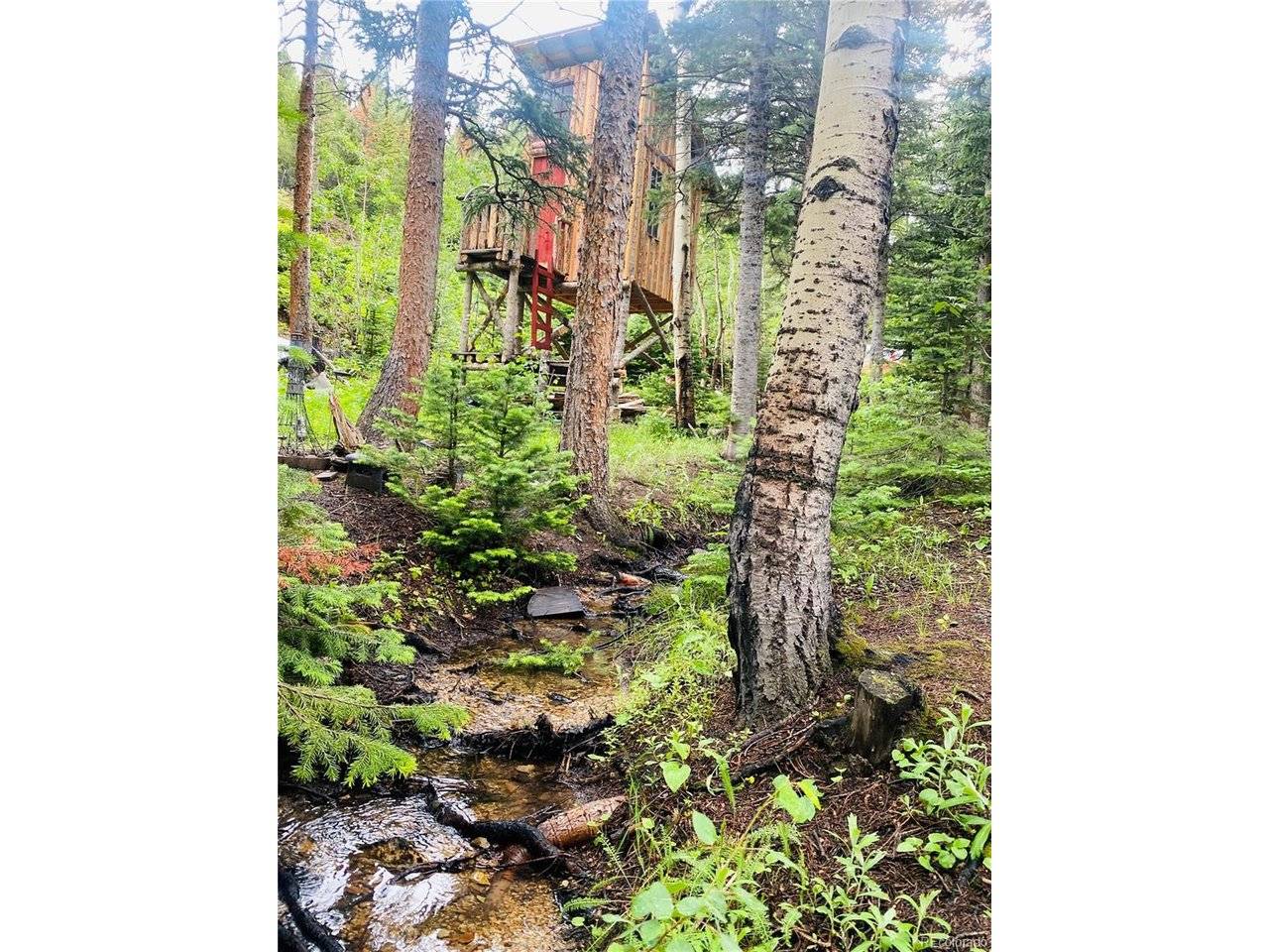 241 County Road 126, Nederland, CO 80466