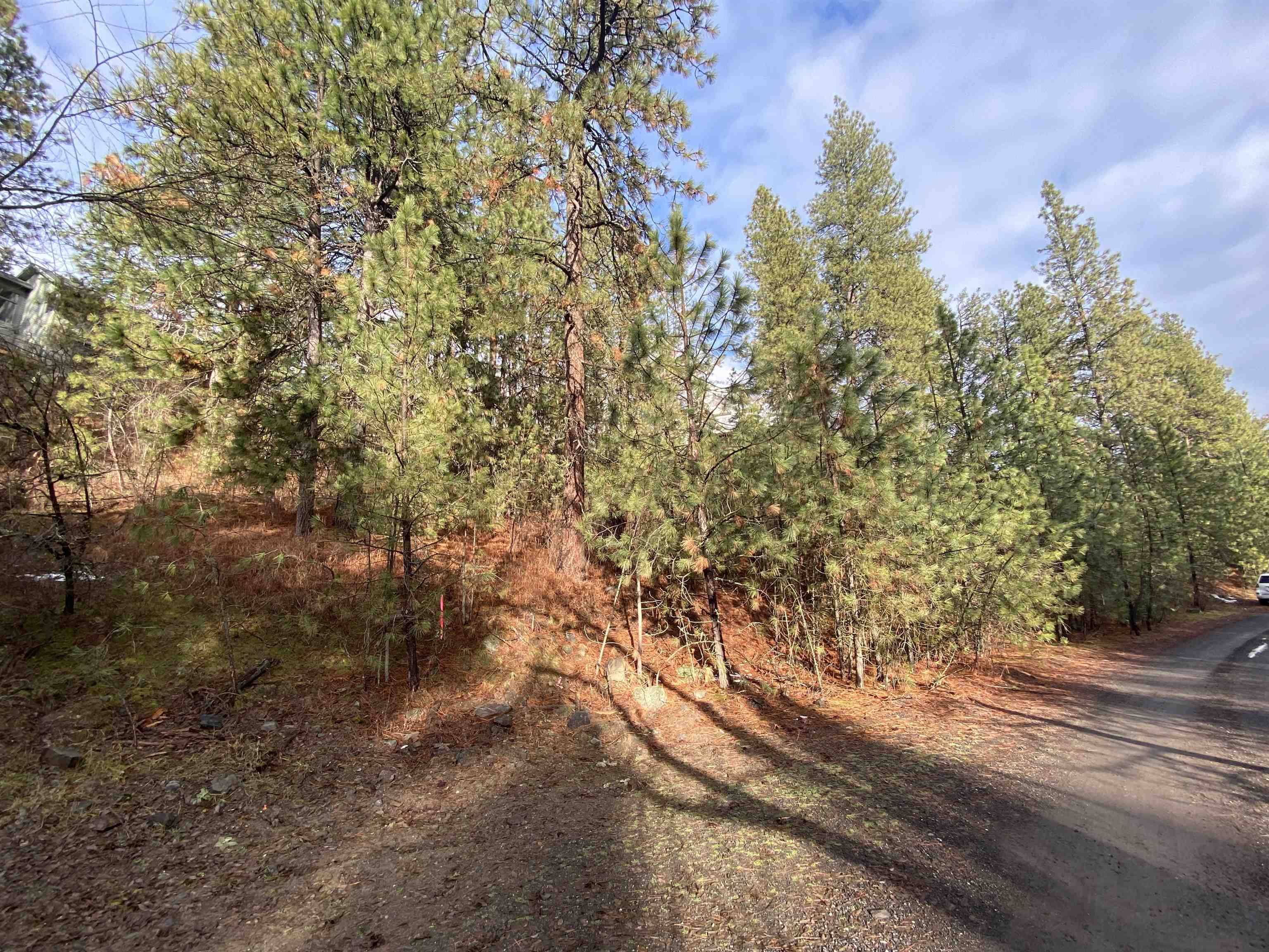 10XX S Azalea Dr, Spokane, WA 99224