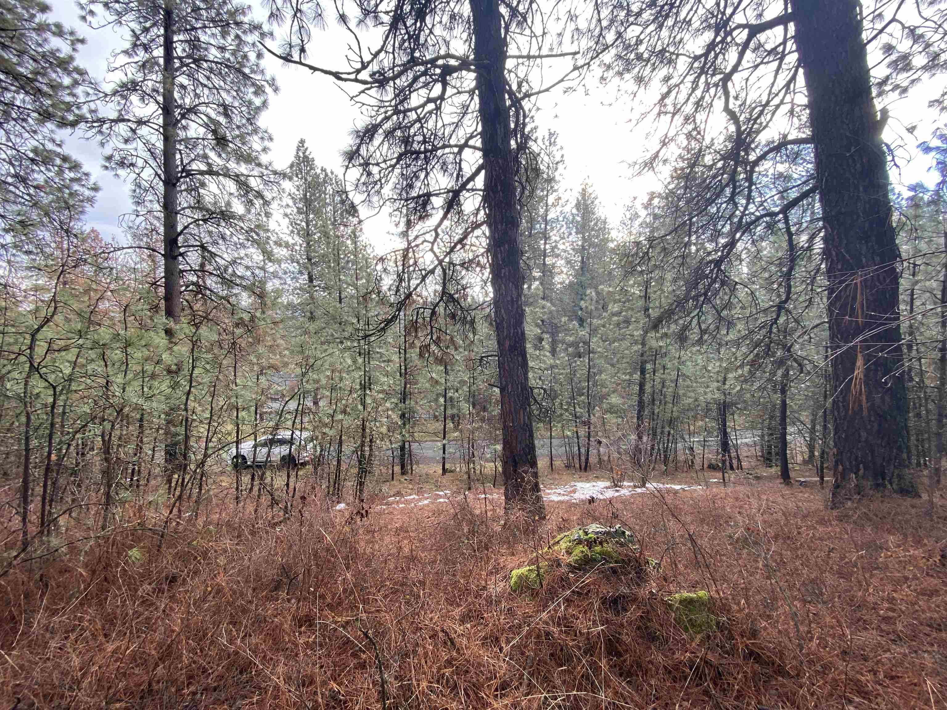 10XX S Azalea Dr, Spokane, WA 99224
