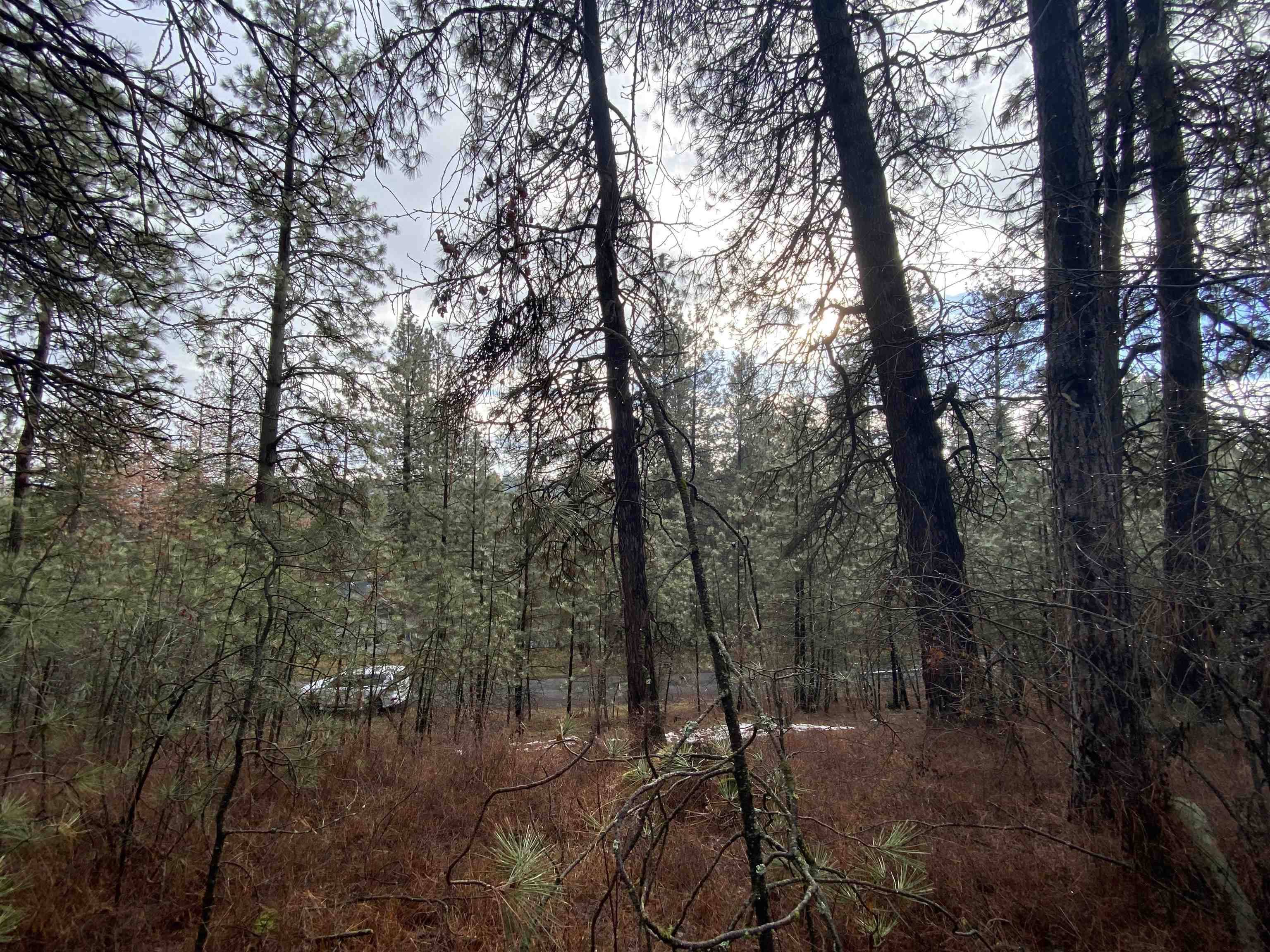 10XX S Azalea Dr, Spokane, WA 99224