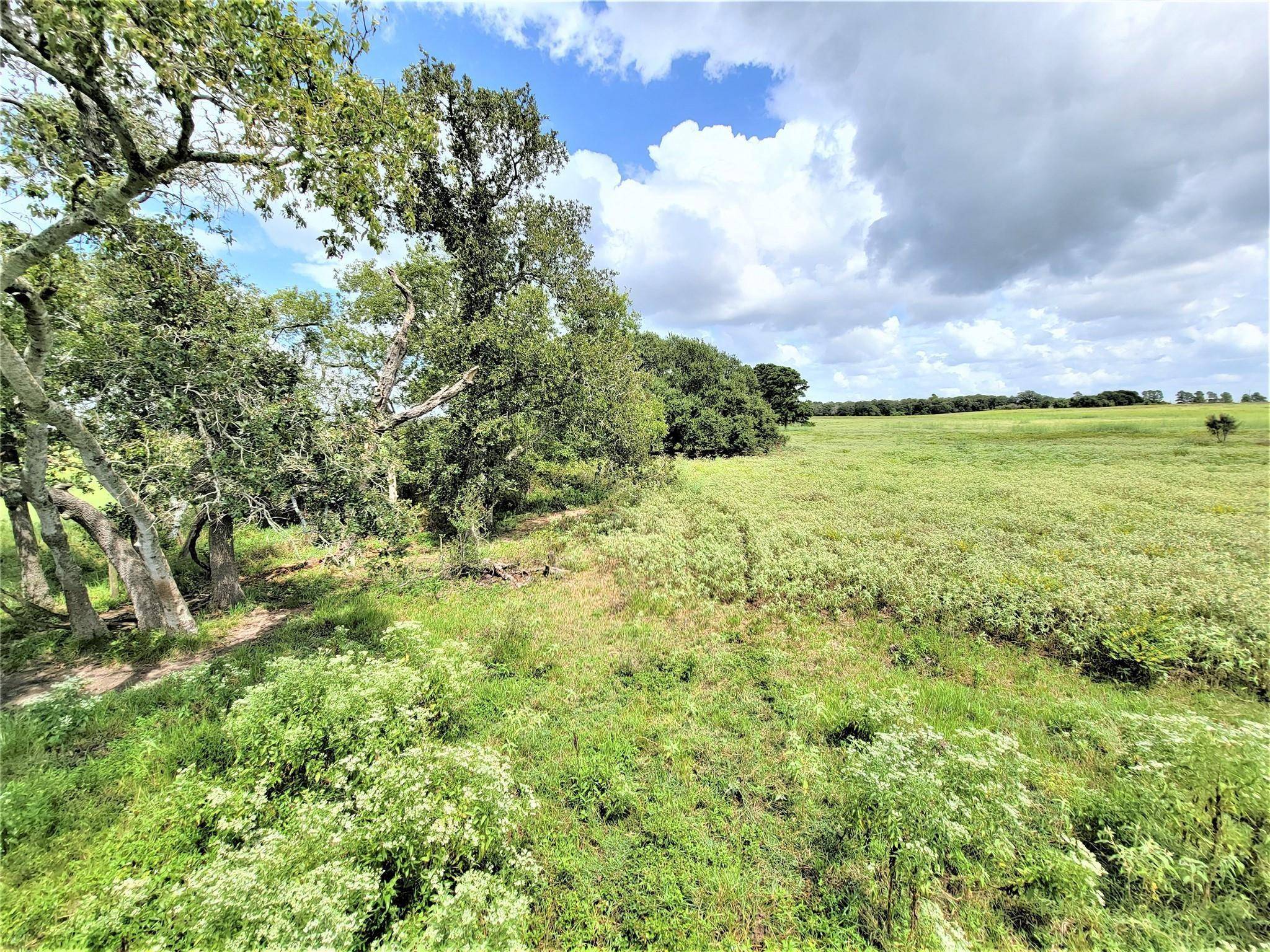 1450 Cattlemens Row #Tract 3, Lockhart, TX 78644