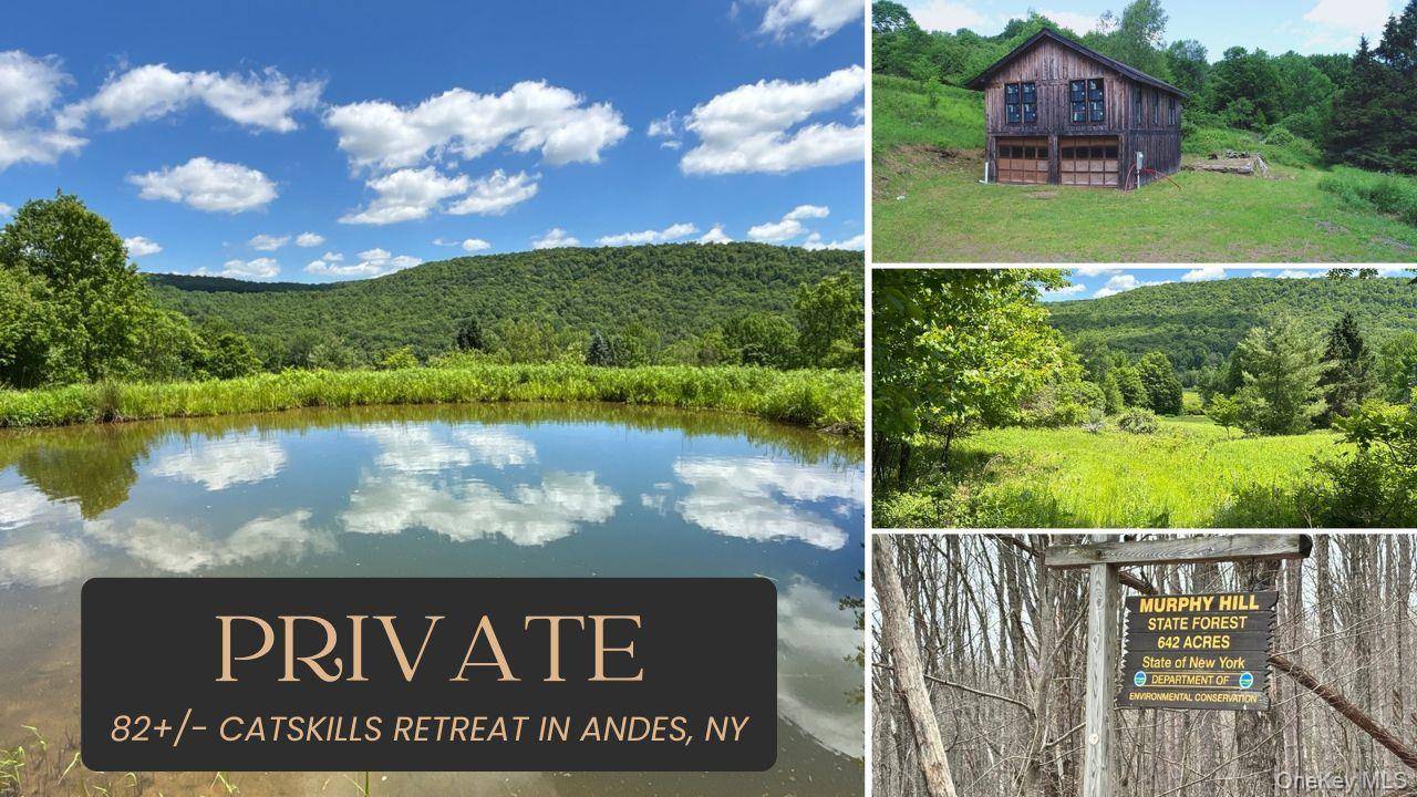 2613 Murphy Hill RD, Andes, NY 13731