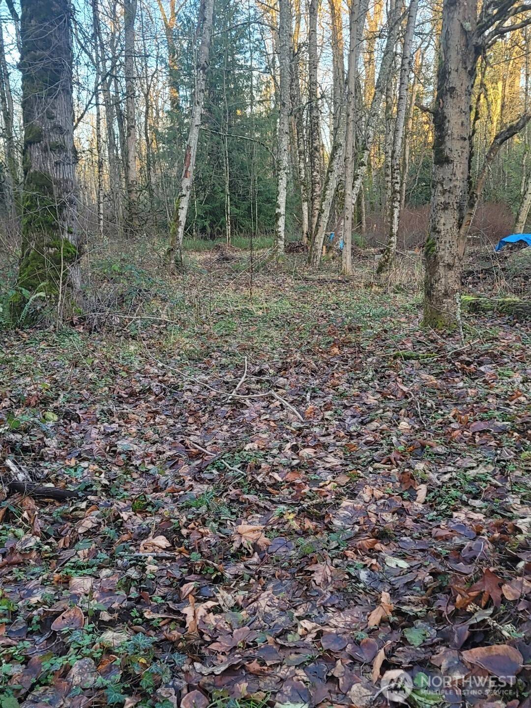 35750 Military RD S, Auburn, WA 98001