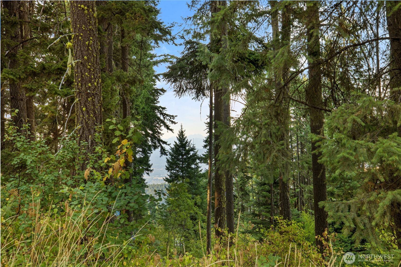 76 Lot Horse Heaven RD, Cle Elum, WA 98922