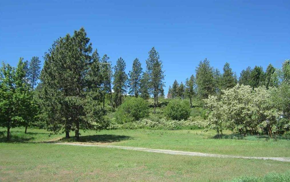 29411 N Dunn Rd, Chattaroy, WA 99003