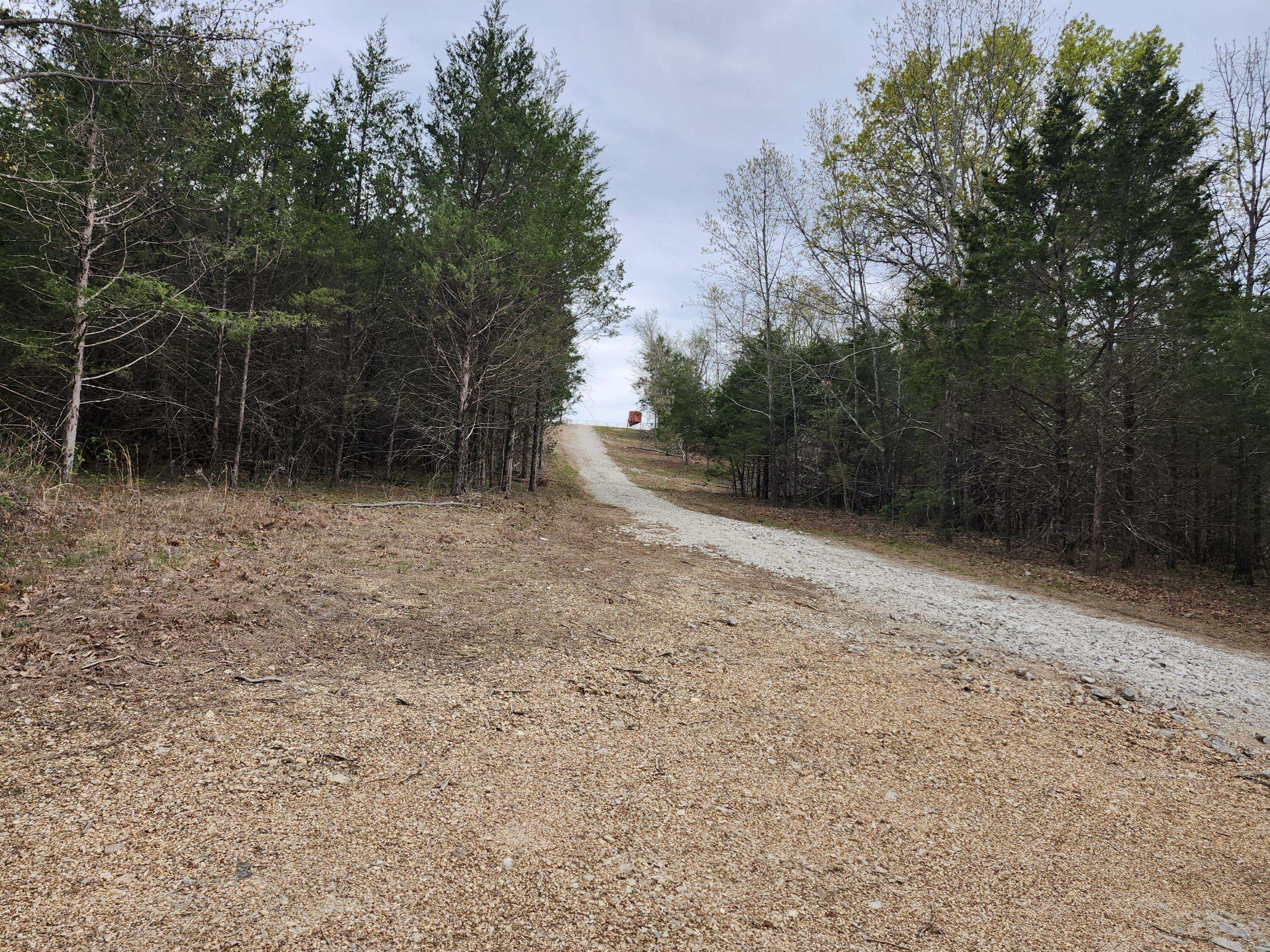 Tbd Gravelpoint Road, Mountain Grove, MO 65711