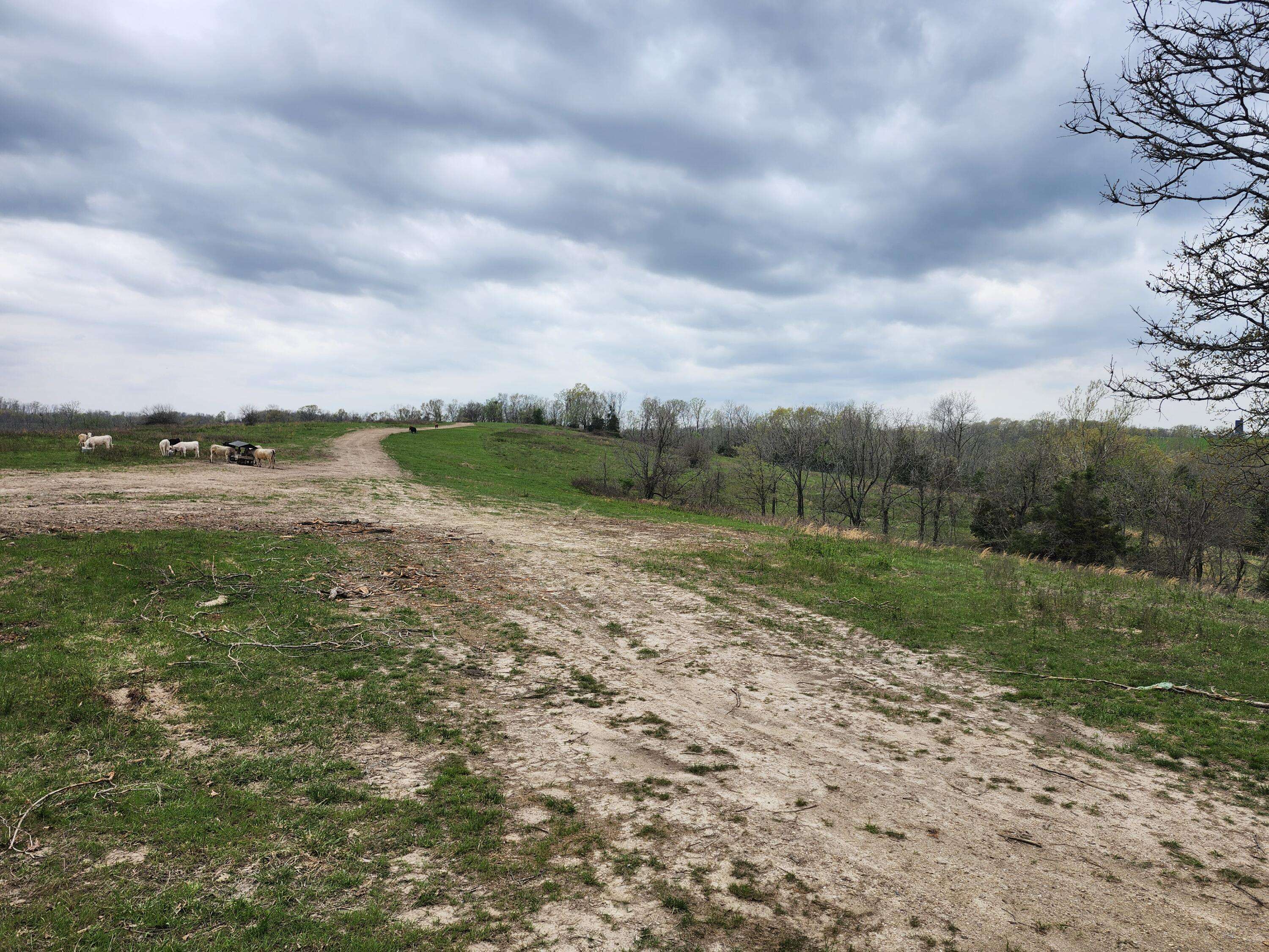 Tbd Gravelpoint Road, Mountain Grove, MO 65711