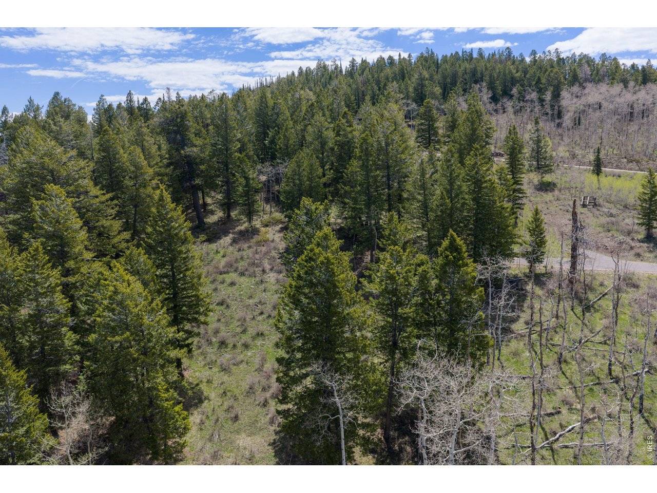 107 Cavesson, Edwards, CO 81632