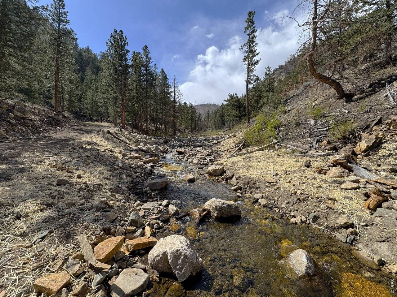 122 Black Hollow, Bellvue, CO 80512