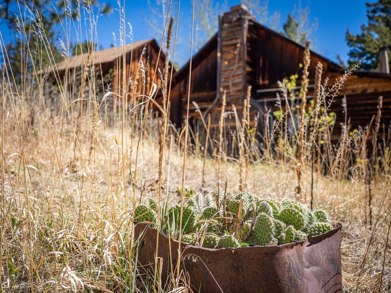 329 Snow Top, Drake, CO 80515