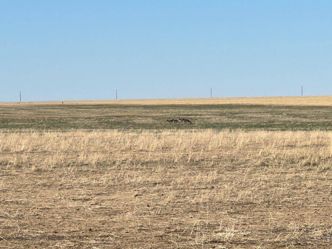 100 4, Arlington, CO 81021