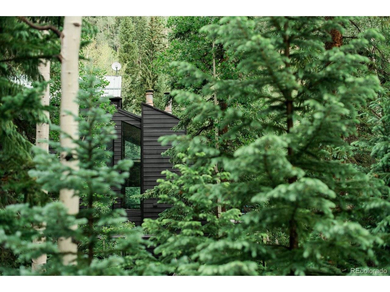 48 Moss, Dumont, CO 80436