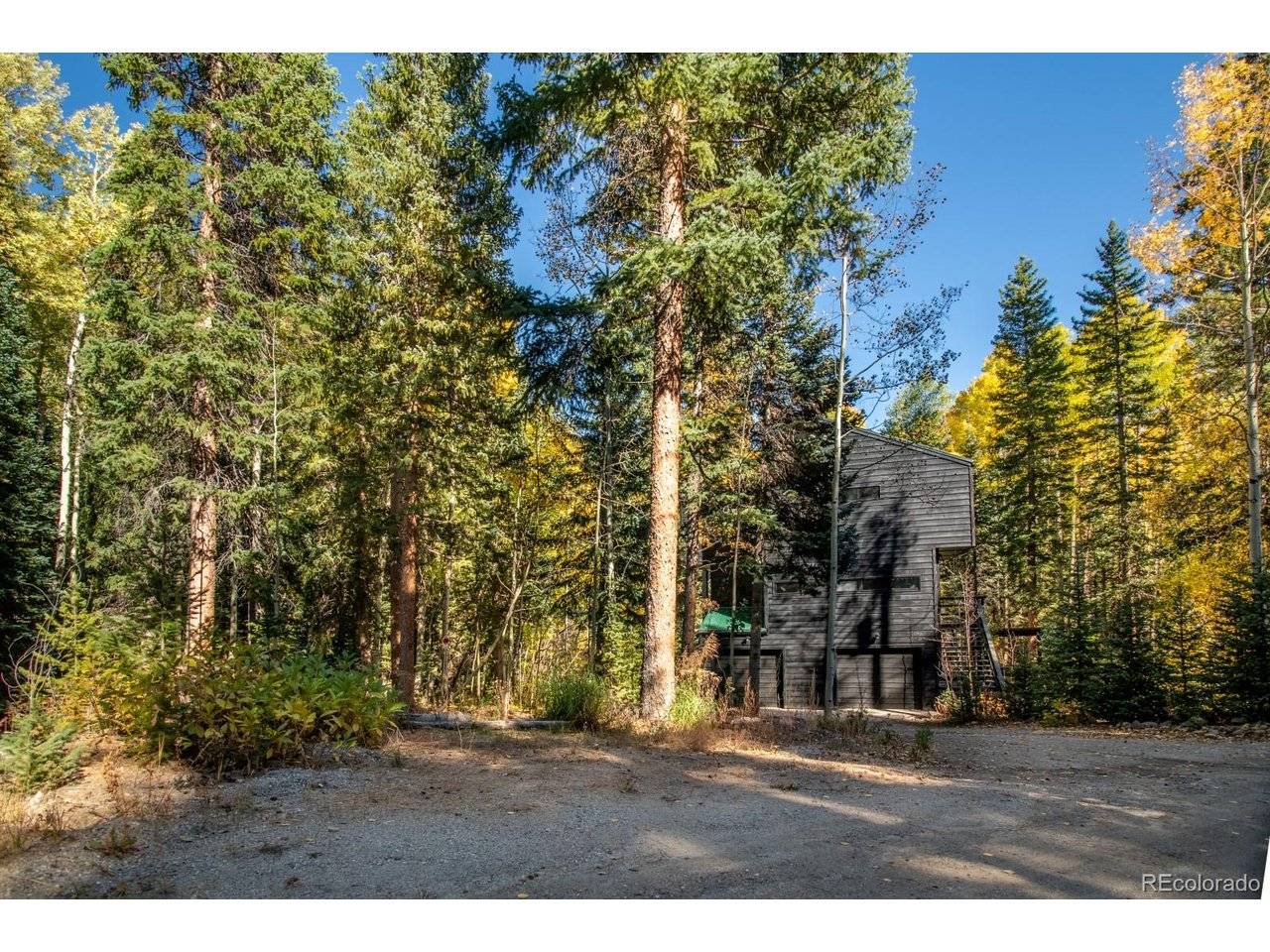 48 Moss, Dumont, CO 80436