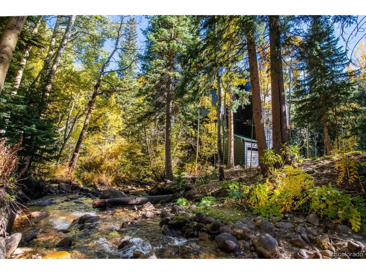 48 Moss, Dumont, CO 80436