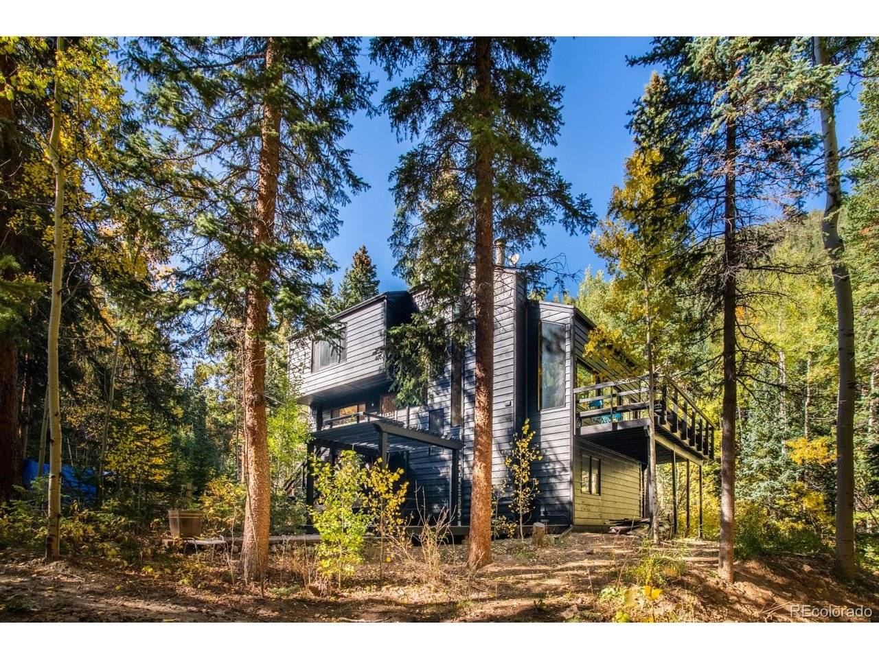48 Moss, Dumont, CO 80436