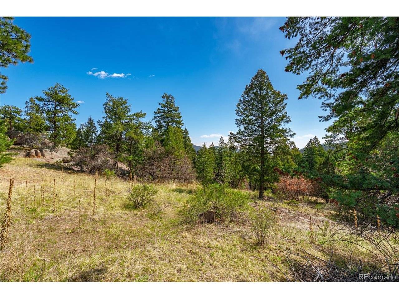 22668 Shawnee, Indian Hills, CO 80454